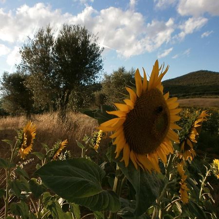 I Casali Di Colle San Paolo Villa Tavernelle  Eksteriør billede