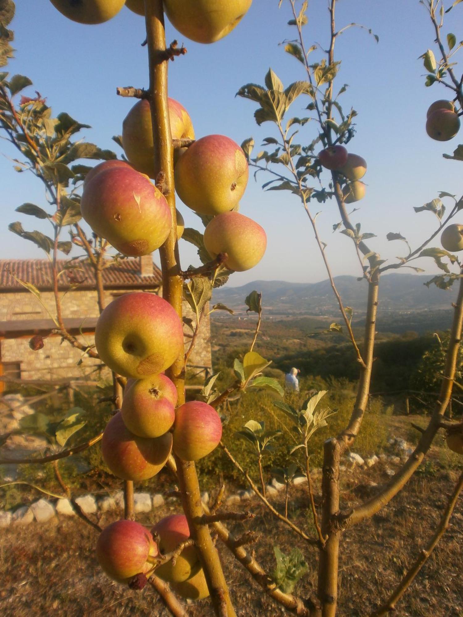 I Casali Di Colle San Paolo Villa Tavernelle  Eksteriør billede