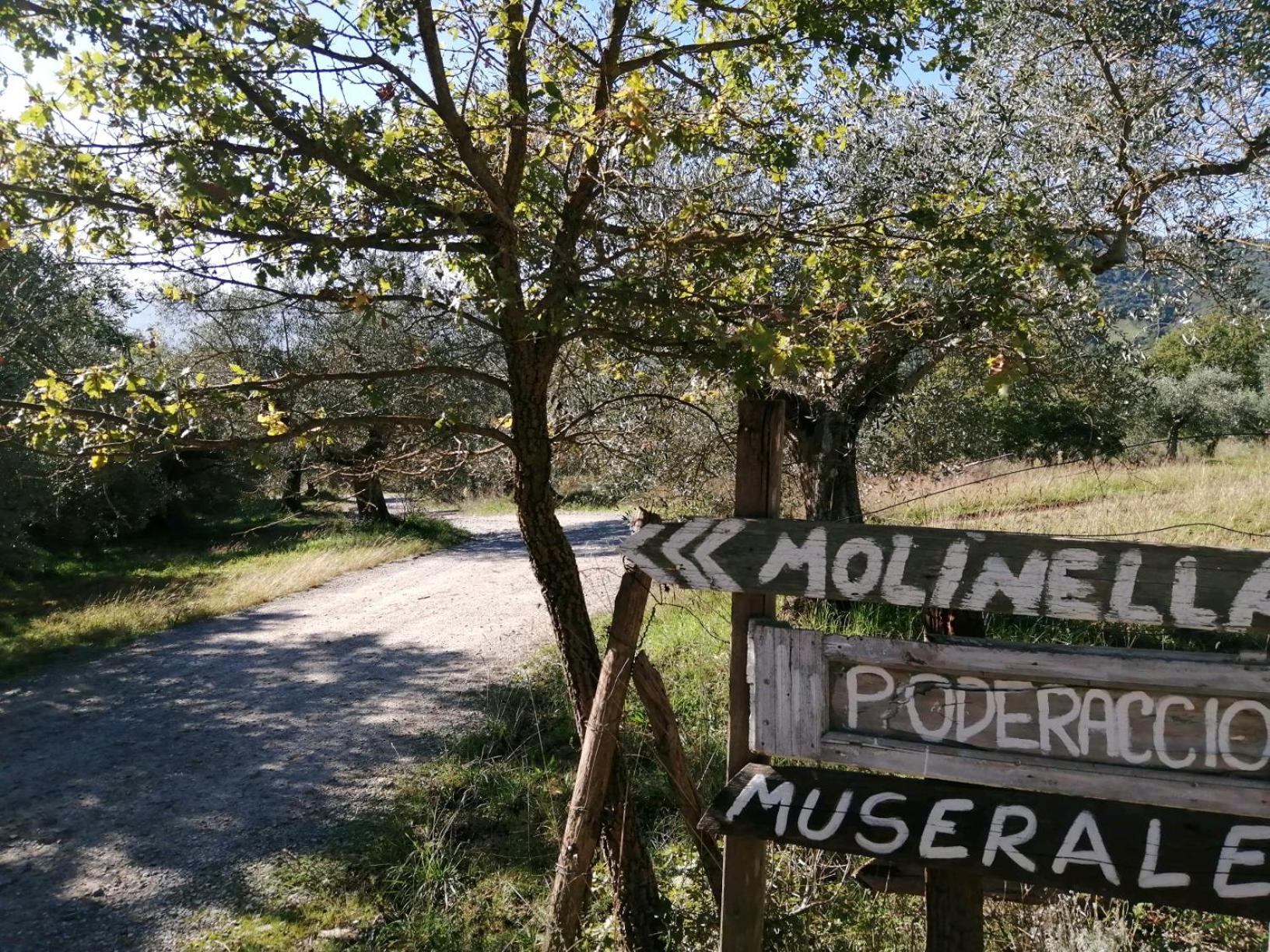 I Casali Di Colle San Paolo Villa Tavernelle  Eksteriør billede
