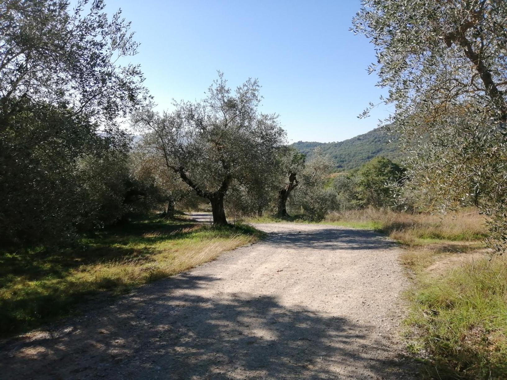 I Casali Di Colle San Paolo Villa Tavernelle  Eksteriør billede