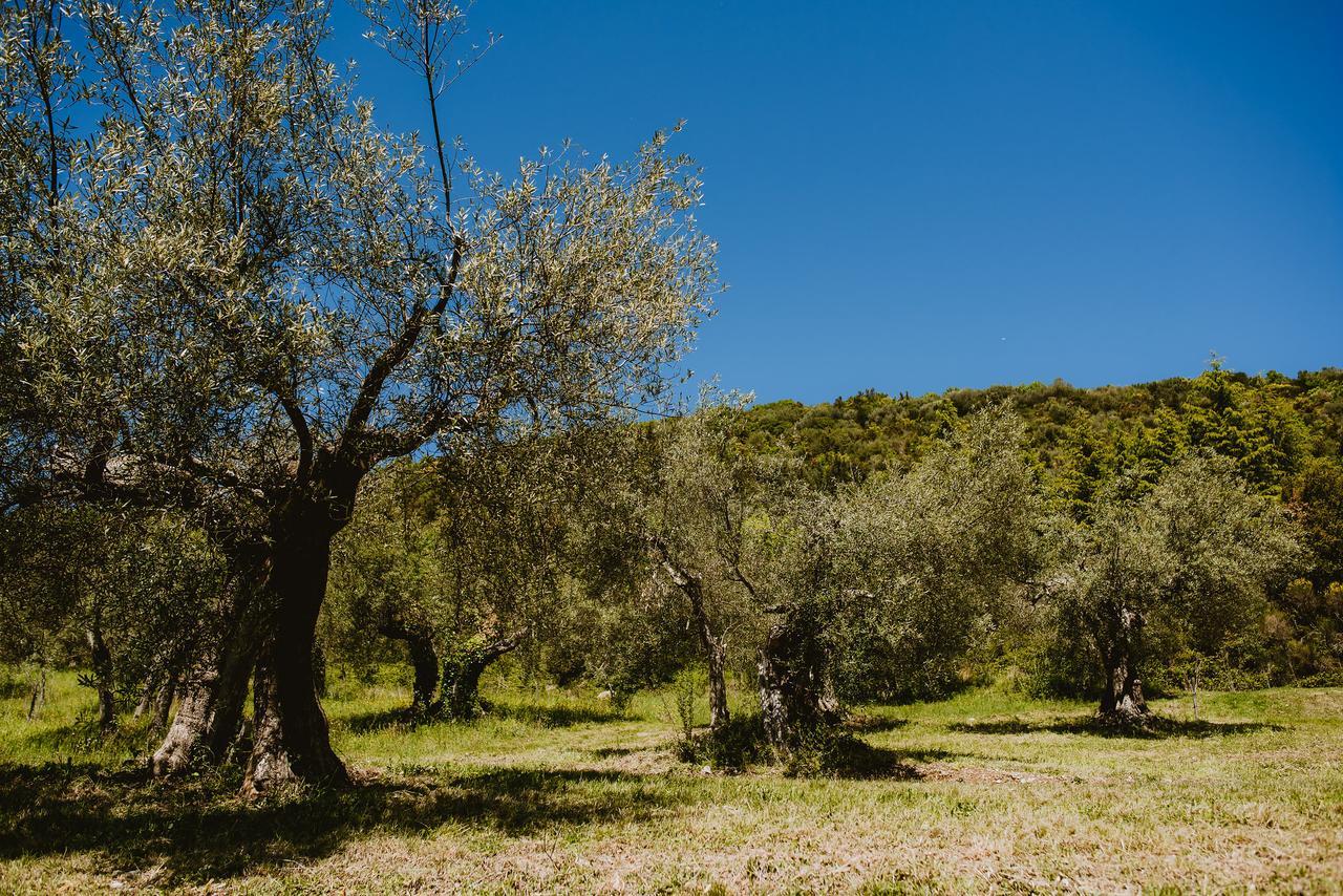 I Casali Di Colle San Paolo Villa Tavernelle  Eksteriør billede